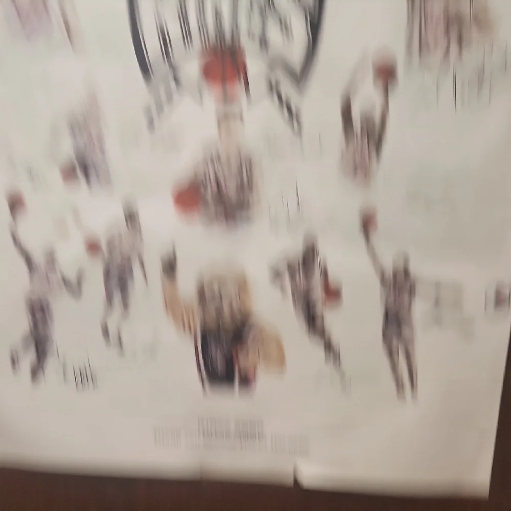White and Black Sacramento Kings Wallpaper Wall Decor